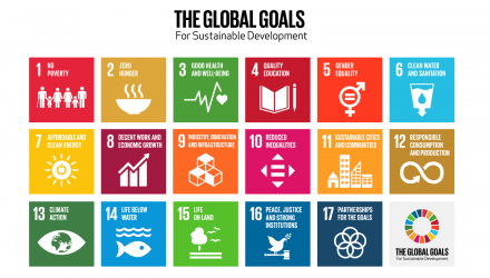 彩色网格联合国可持续发展目标的图标。